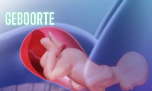cursus thumbnail