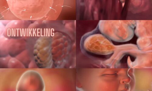 cursus thumbnail